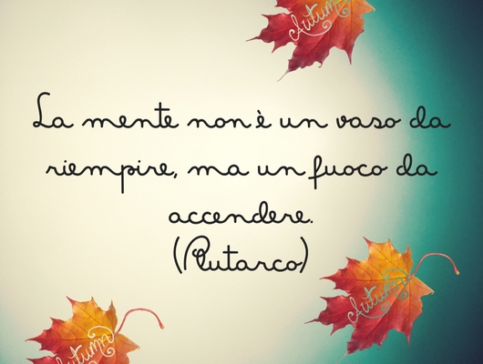 Immagine principale dell'annuncio