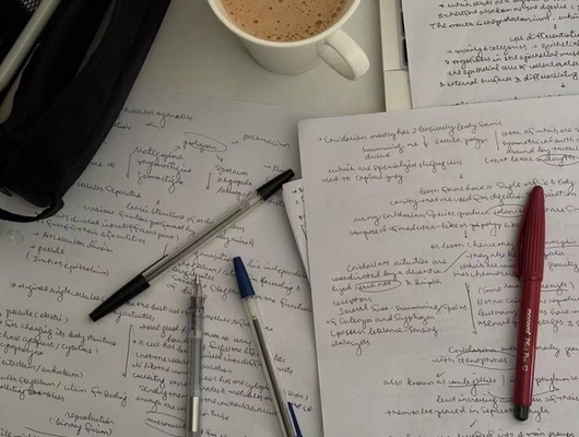 Immagine principale dell'annuncio