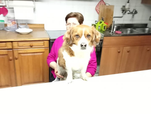 Immagine principale dell'annuncio