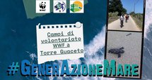 Campi di Volontariato WWF Brindisi