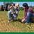 Regione Lombardia Informativa - Emergenza lavoratori nel settore agricolo